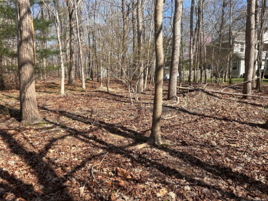LOT: STEPHANO ROAD, EAST PATCHOGUE, NY 11772, photo 5 of 8