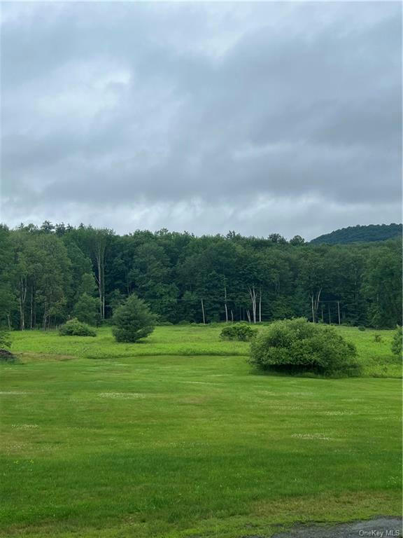 TBD00 LITTLE HOLLOW ROAD, NEVERSINK, NY 12765, photo 1 of 19