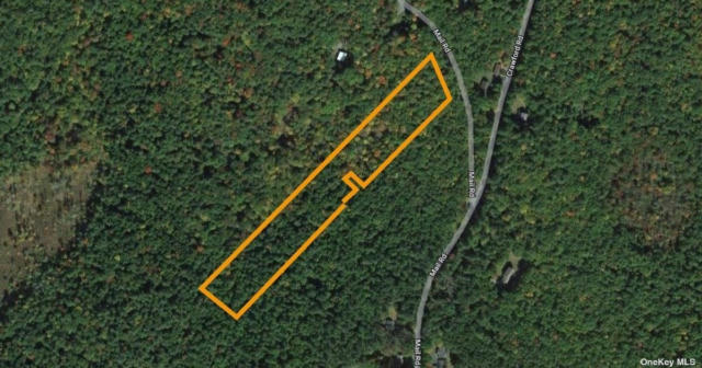 1 MAIL RD, BARRYVILLE, NY 12719 - Image 1