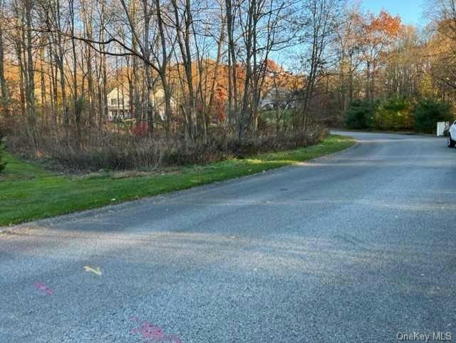 HUYLER DRIVE, HYDE PARK, NY 12538, photo 1 of 3