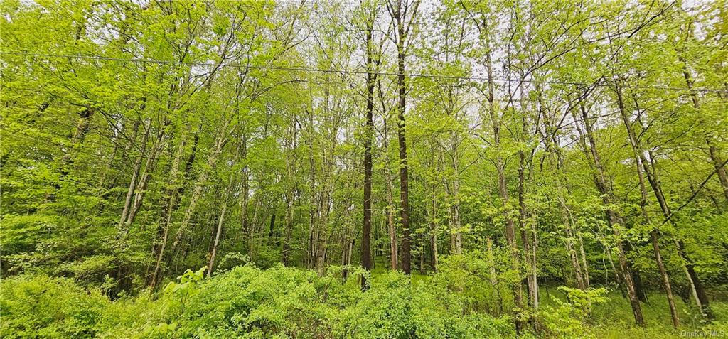 LOT 32.7 STATE ROUTE 17B, COCHECTON, NY 12726, photo 1 of 16
