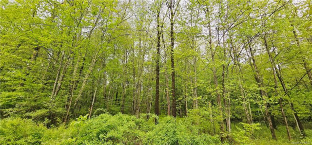 LOT 32.7 STATE ROUTE 17B, COCHECTON, NY 12726 - Image 1