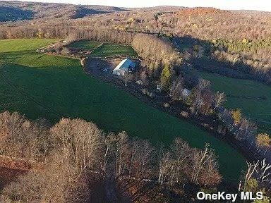 MENGES ROAD, CALLICOON, NY 12791 - Image 1