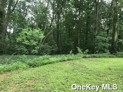 43 LAUREL LN LOT B, MATINECOCK, NY 11560, photo 3 of 5