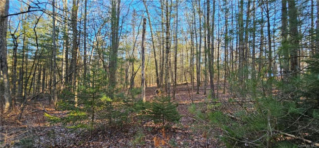 LOT 57.1 YULAN-BARRYVILLE ROAD, BARRYVILLE, NY 12719, photo 4 of 8