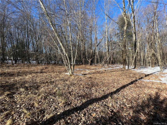 LOT 6.2 W STATE ROUTE 52, LOCH SHELDRAKE, NY 12759, photo 5 of 13
