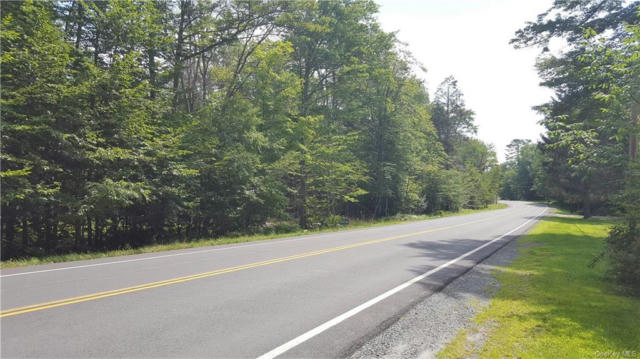 STATE ROUTE 42, NEVERSINK, NY 12765 - Image 1