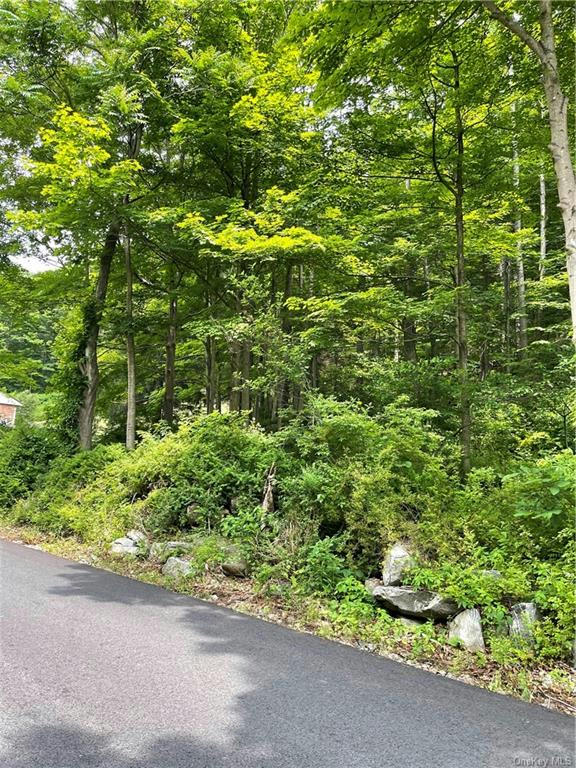 WICCOPEE ROAD, PUTNAM VALLEY, NY 10579, photo 1 of 12