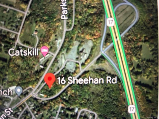 16 SHEEHAN/TBD EXIT RD ROAD, LIBERTY, NY 12754 - Image 1