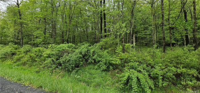 LOT 32.7 STATE ROUTE 17B, COCHECTON, NY 12726, photo 3 of 16