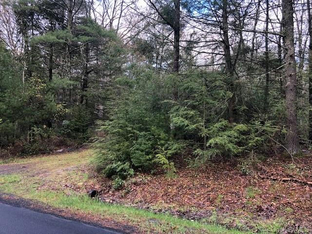 CRAWFORD ROAD, BARRYVILLE, NY 12528, photo 1 of 6