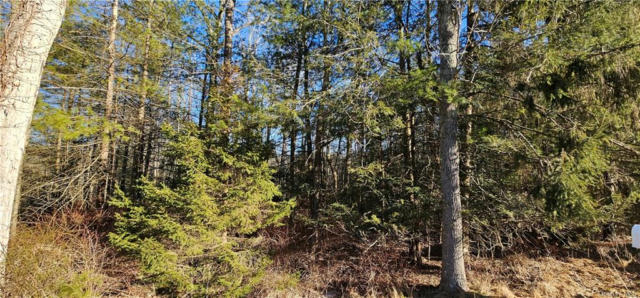 LOT 57.1 YULAN-BARRYVILLE ROAD, BARRYVILLE, NY 12719, photo 2 of 8
