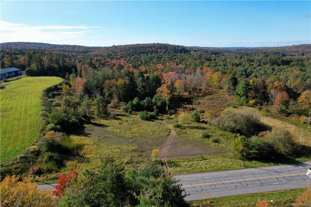 LOT TBD NYS ROUTE 17B, MONTICELLO, NY 12701, photo 1 of 15