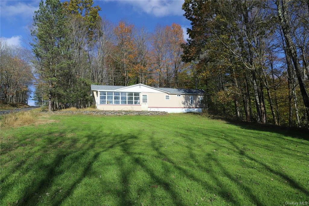 92 WILLIAM BROWN ROAD, FREMONT CENTER, NY 12736, photo 1 of 28