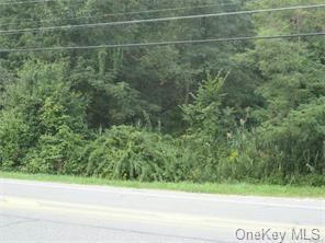 2201 STATE ROUTE 208, MONTGOMERY, NY 12549 - Image 1