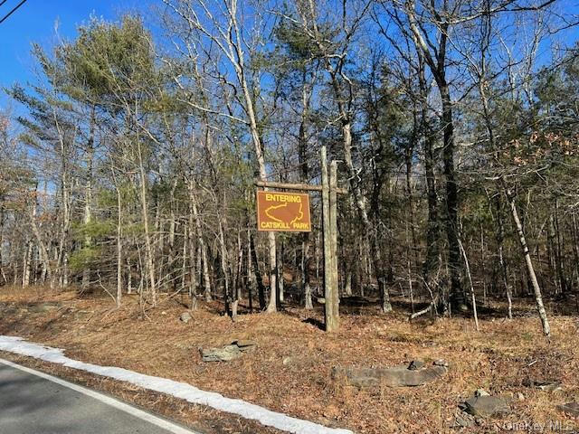 TBD ROUTE 28A, WEST HURLEY, NY 12491, photo 1 of 12