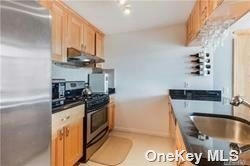 63-14 QUEENS BLVD # 8H, WOODSIDE, NY 11377, photo 2 of 6
