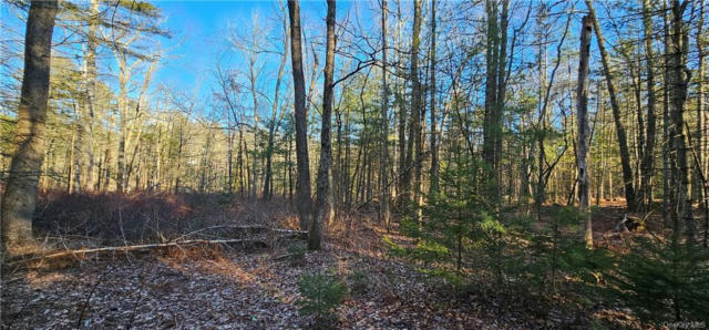 LOT 57.1 YULAN-BARRYVILLE ROAD, BARRYVILLE, NY 12719, photo 5 of 8