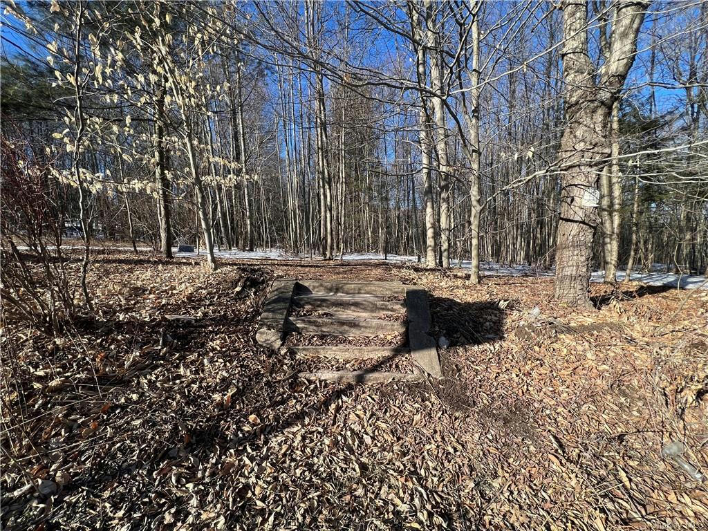 LOT 6.2 W STATE ROUTE 52, LOCH SHELDRAKE, NY 12759, photo 1 of 13