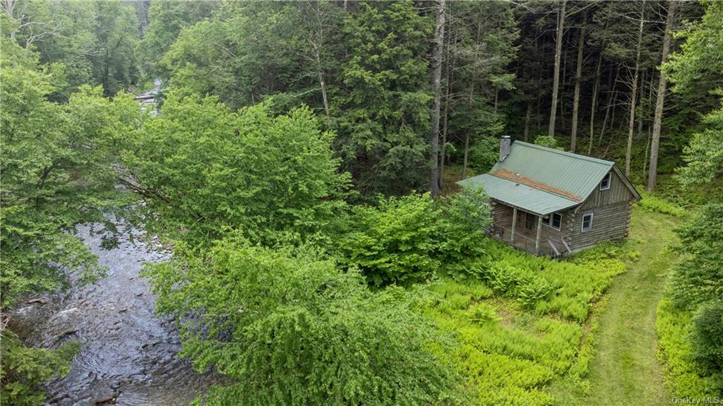 56 SAW MILL RD, CLARYVILLE, NY 12725, photo 1 of 21