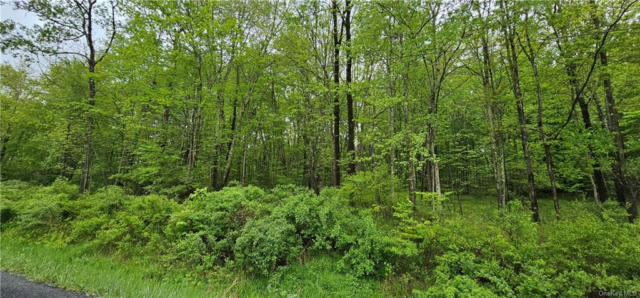 LOT 32.7 STATE ROUTE 17B, COCHECTON, NY 12726, photo 5 of 16