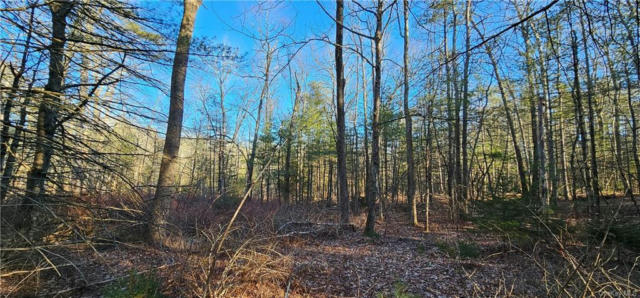 LOT 57.1 YULAN-BARRYVILLE ROAD, BARRYVILLE, NY 12719, photo 3 of 8