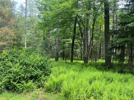 LOT 23.2 CRAWFORD ROAD, ELDRED, NY 12732, photo 2 of 5