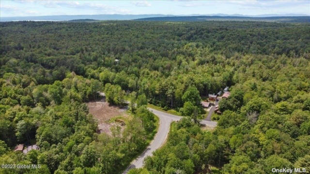 L37 WILEYTOWN ROAD, OTHER, NY 12850, photo 3 of 10