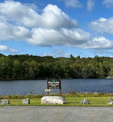 LOT 20 PINE LAKE DRIVE, WURTSBORO, NY 12790 - Image 1