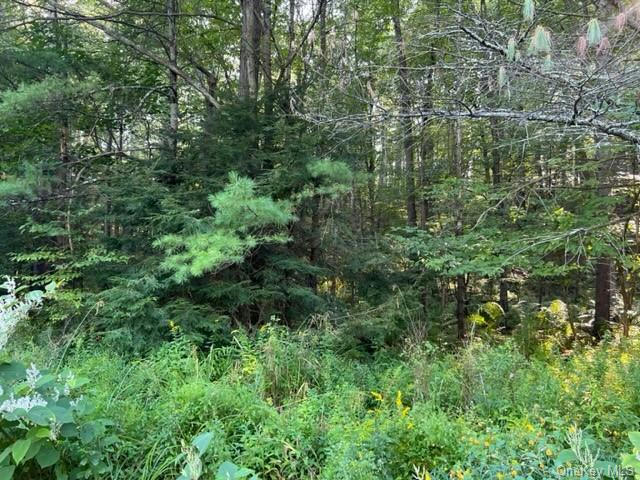 947 STATE ROUTE 42, SPARROWBUSH, NY 12780, photo 1 of 6