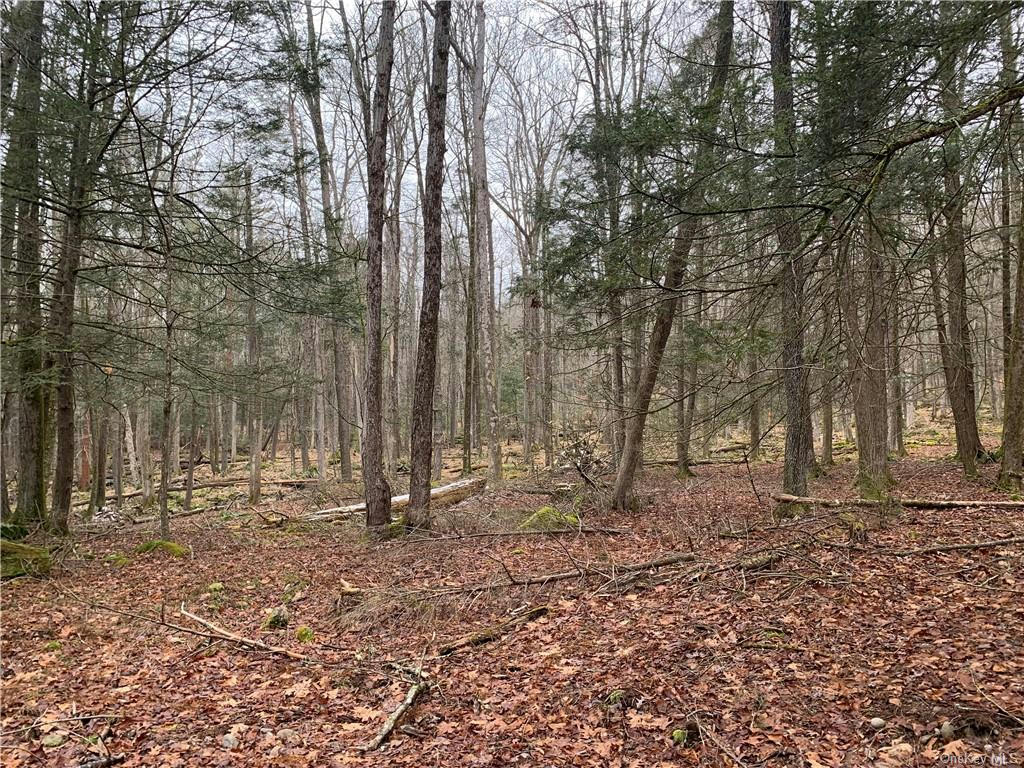 FRENCH CLEARING ROAD, FORESTBURGH, NY 12777, photo 1 of 2