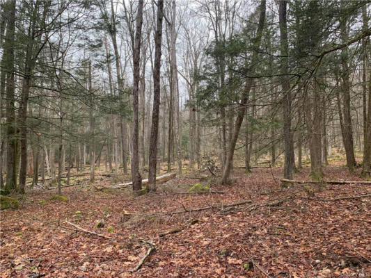 FRENCH CLEARING ROAD, FORESTBURGH, NY 12777 - Image 1