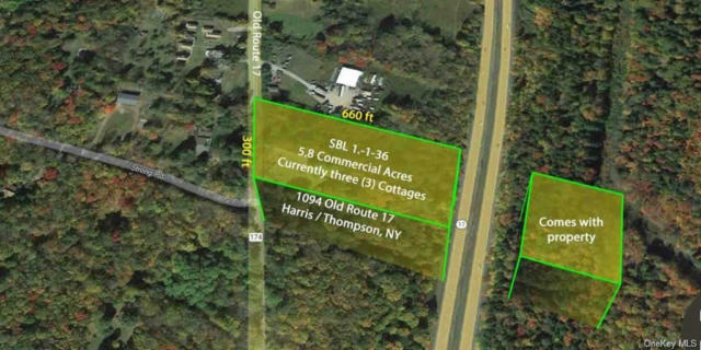 1094 OLD ROUTE 17, HARRIS, NY 12742, photo 2 of 3