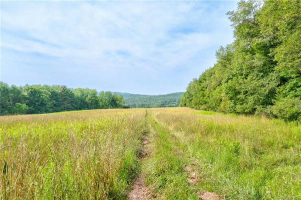 TBD ROLLING MEADOWS ROAD, WHITE SULPHUR SPRING, NY 12787 - Image 1