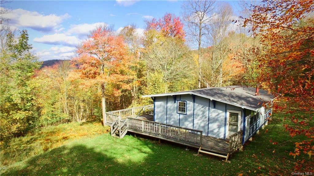 3245 BAXTER MOUNTAIN ROAD, DOWNSVILLE, NY 13755, photo 1 of 33