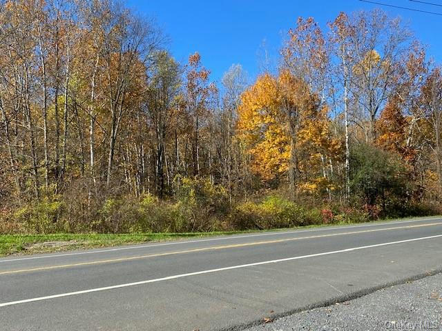 TBD ROUTE 9W, HIGHLAND, NY 12528, photo 1 of 13